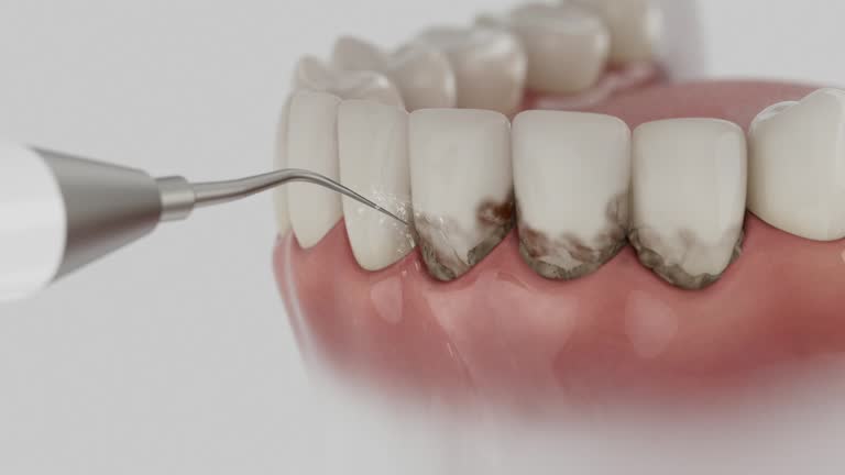 Reliable Dental contractor in North Myrtle Beach, SC by Dentist Open Now